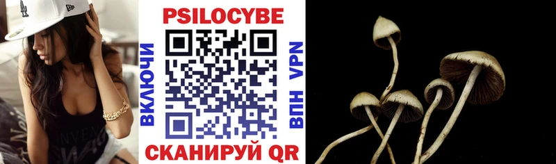 Галлюциногенные грибы Cubensis  наркошоп  Балей 